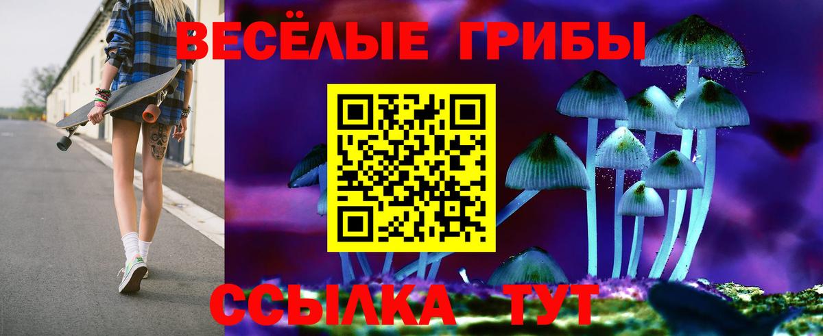 Галлюциногенные грибы MAGIC MUSHROOMS Алексеевка