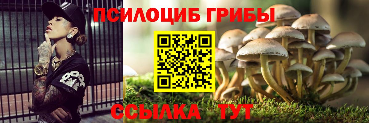 Алексеевка  Псилоцибиновые грибы GOLDEN TEACHER  Вход с VPN 